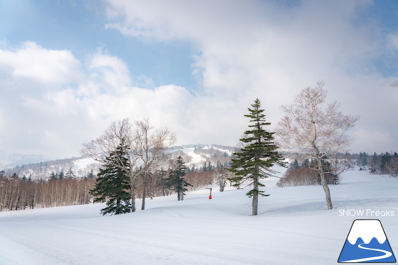 札幌国際スキー場｜さすが『KOKUSAI』！春シーズンも安泰の豊富な積雪で、まだまだ余裕で全面滑走可能です(^^)v